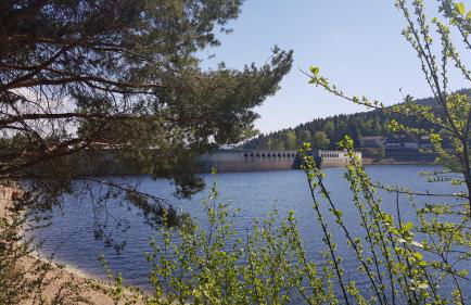 Ferienwohnung Tannenballett im Schwarzwald - Foto 58