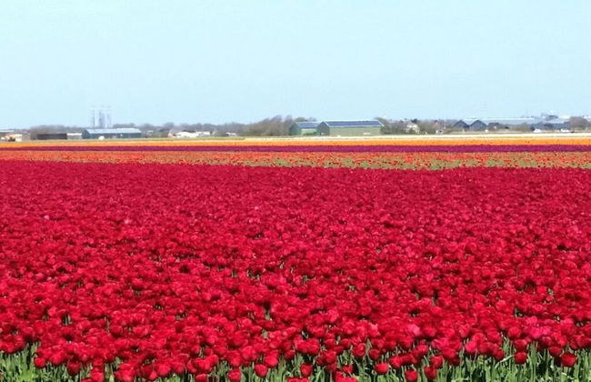 Villa Strandtijden - Foto 9