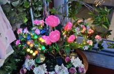 La terrazza di Ameglia alta - relax nel borgo Ligure - Foto 43