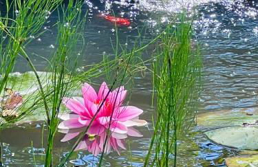 Haus DreiSeenBlick - adults only - Foto 45