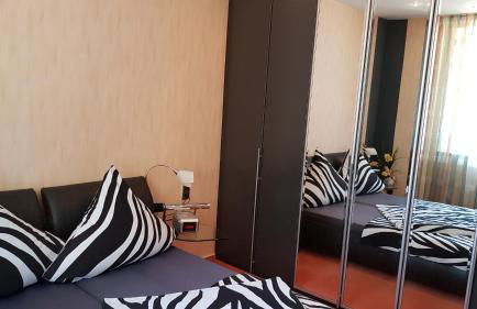 ALACARD Ferienwohnungen Höffgen Thale Harz - Foto 7