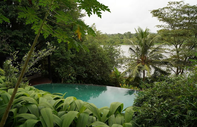 LilyPod Villa - Photo 45