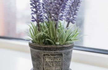 St Luke's 2 - Foto 9