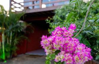 Morada de Rashid - Com Banheira de Imersão - Photo 59