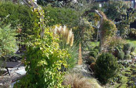 Wildnisresidenz am Nationalpark - Foto 50