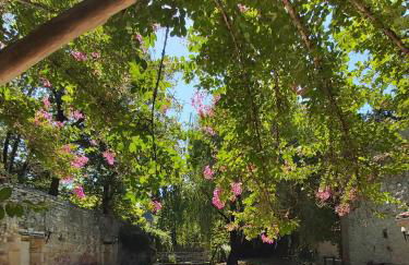 Domaine de l'Esquibat - Foto 1