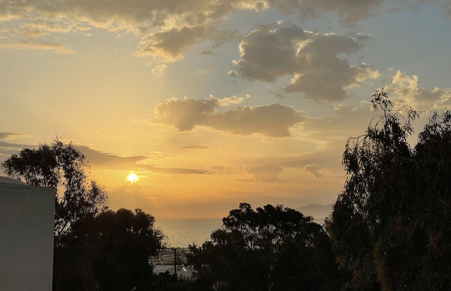 Seaclusion - Photo 42