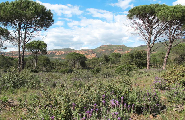 4 bedroom House in Bagnols-en-Forêt with private pool and garden - Photo 39