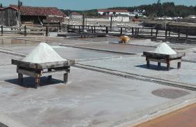 Casa da Palmeira - Foto 32