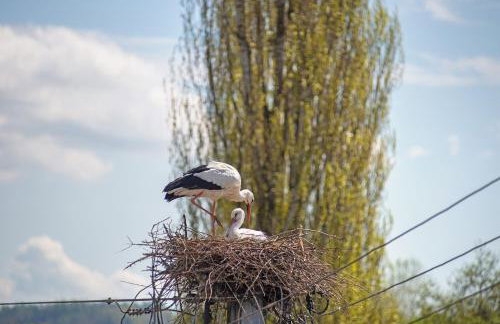 Vronis Ferienwohnungen - Foto 30