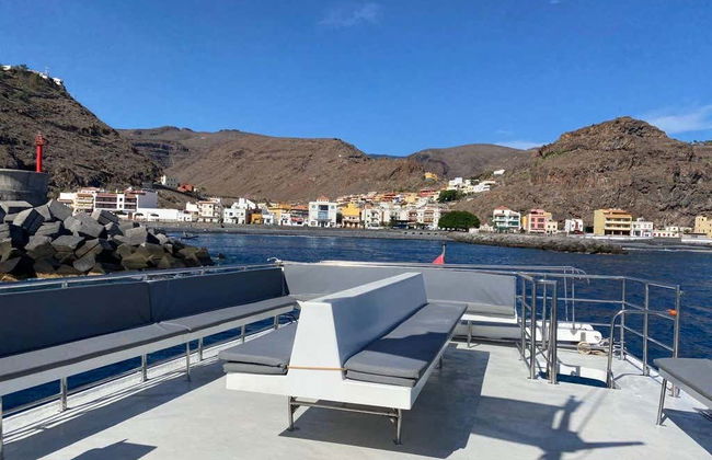 Observation de dauphins et de baleines à La Gomera - Photo 4