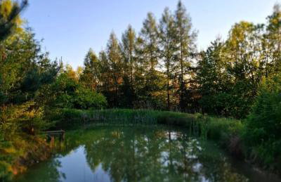 Osada Głębuczek - domki w Beskidach - Foto 6