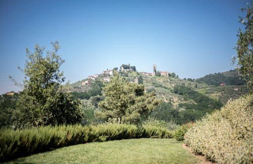 Terre di Cocomo - Foto 33