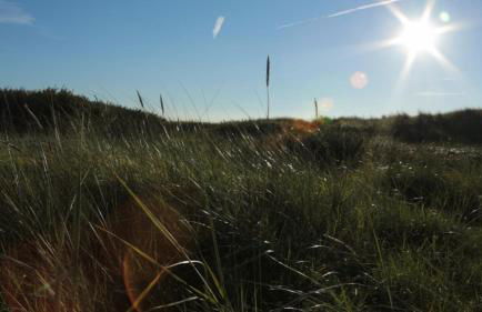 Ferienwohnung Lüntjenüst - Foto 27