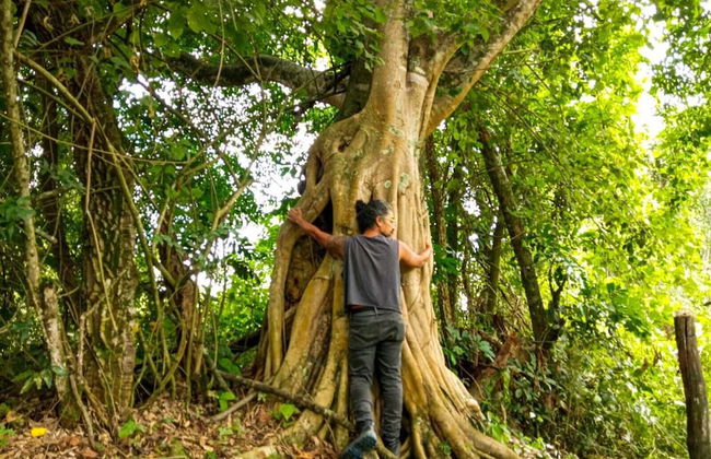 El Cielo Biohospedaje - Foto 37