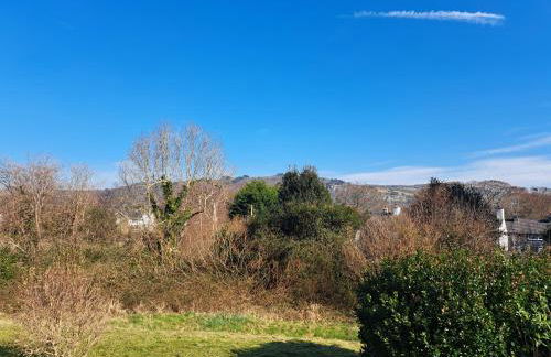 Spring & Haven - Foto 43