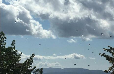 Apartman Adrijana Kastav, free WiFi & parking, 2 bedrooms & sea view - Photo 15