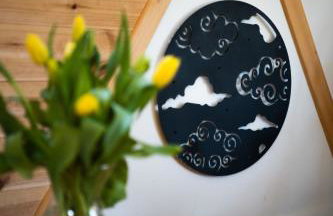 4 Żywioły całoroczne domki w górach - dostęp do sauny - Foto 49