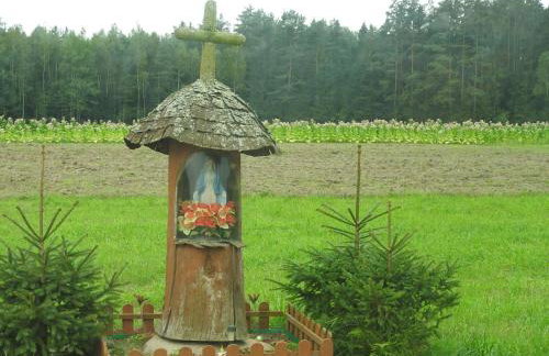 Agroturystyka Biebrzańska Kraina - Foto 48