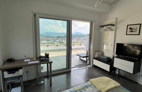 Ferienwohnung - Penthauswohnung Albblick, traumhafter Ausblick, ruhige Lage - Foto 8