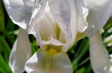 Artistika Golden Apartment - Foto 80