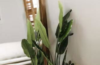 Group Getaway: Serene Adobe Retreat 4-11 guests - Foto 17