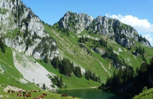 Chalet familial authentique et spacieux 2 chambres 4 à 6 personnes avec parking proche des remontées - Foto 20