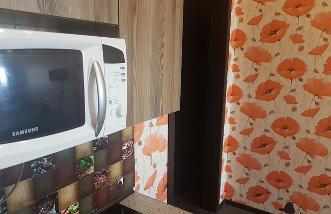 Zhukovsky apartment - Foto 10