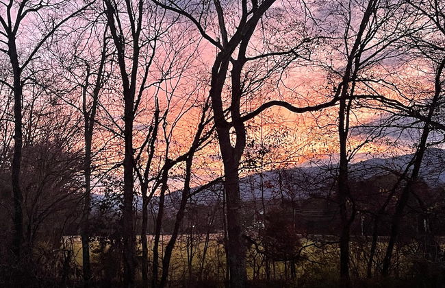 Yellow Cabin on the River - Foto 18