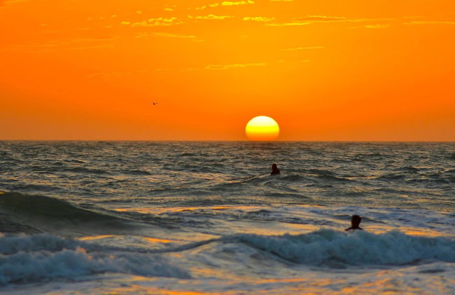 Anna Maria Island Beach Palms 2B - Foto 109