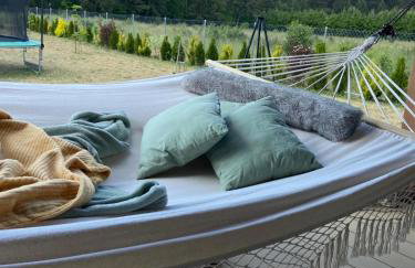 Wakacje Mazury, Willa Ametyst, cisza , ptasi śpiew , GRZYBY , RYBY - Foto 1