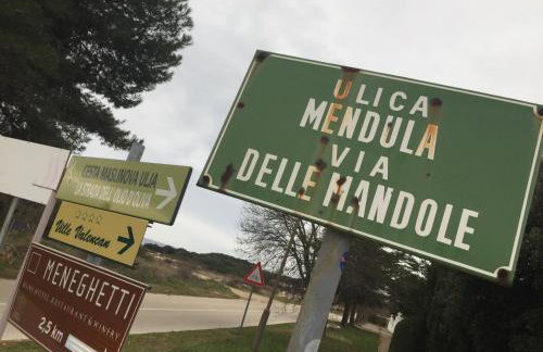 Apartment Enis - Photo 42