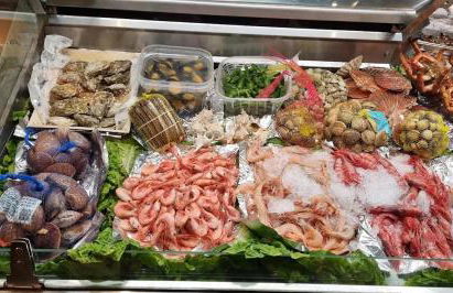 Paraiso de Santa Paula - Foto 24