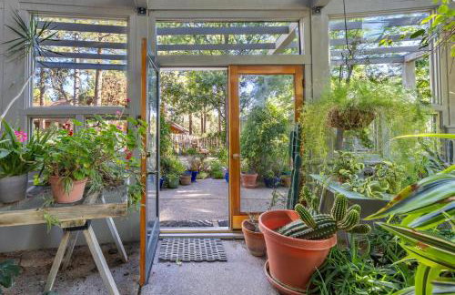 Birders, botanist and hikers’ oasis in FLG - Foto 43