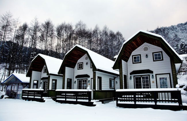 Just Like Natural Home Pension - Photo 51