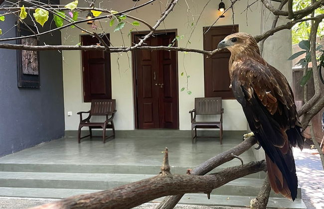 Villa Tambaka Retreat - Photo 48