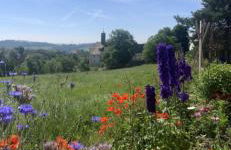 Ferienwohnung Klosterblick - Foto 21