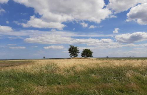 Ferienwohnung Fischerstieg - Foto 27