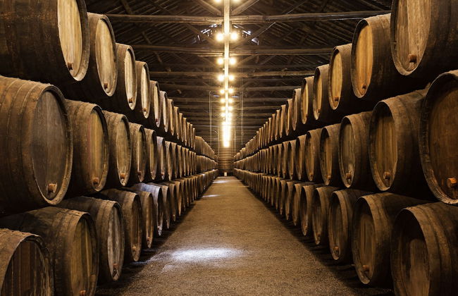 Gaia Elegant Retreat I - Photo 30