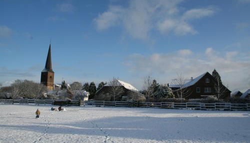 Timmermannshof - Foto 4