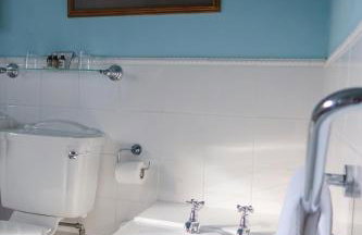 Plas Nanteos Mansion - Foto 51