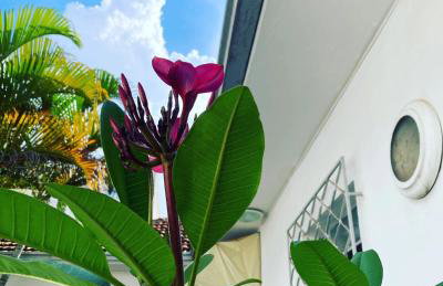 Casa Vintage, tranquilidade no Prado - Foto 16