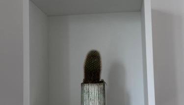 La casa di Chica - Foto 2