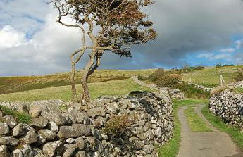 Salt Marsh Apartment - Foto 35