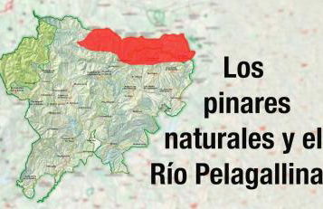 Refugios Del Valle Negro - Foto 79