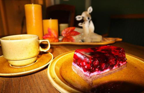 Apartment Alte Schusterei - Foto 34