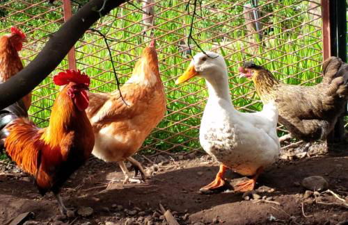 Le Case Di Bacco - Foto 25