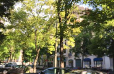 Le Jardin Darcy Liberté Hyper centre gare-ville parking public payant dans la rue - Foto 69