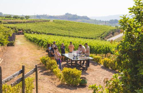 Quinta da Barroca Douro Valley - Foto 34