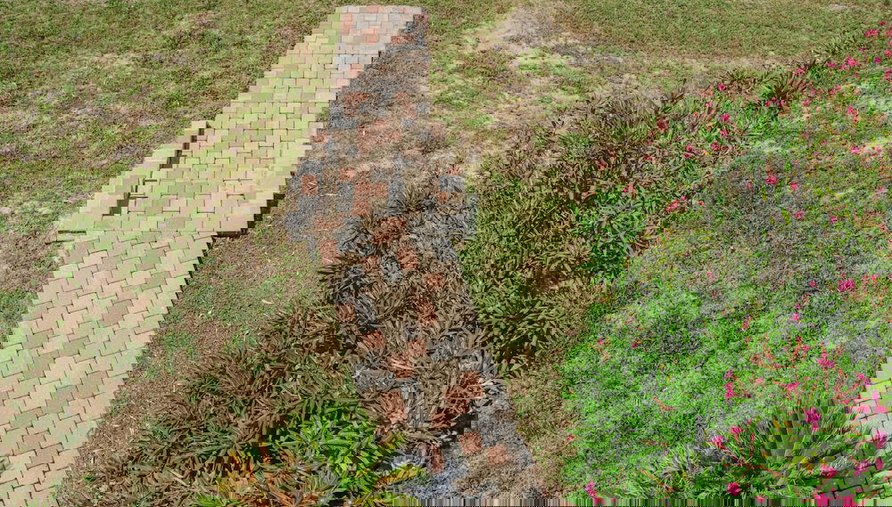 Happy Dolphin - Foto 1, Imagen principal